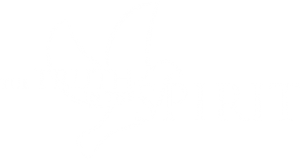 The Truth In The Spirit Logo White
