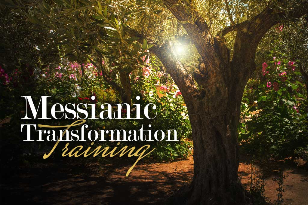 Messianic Transformation Training